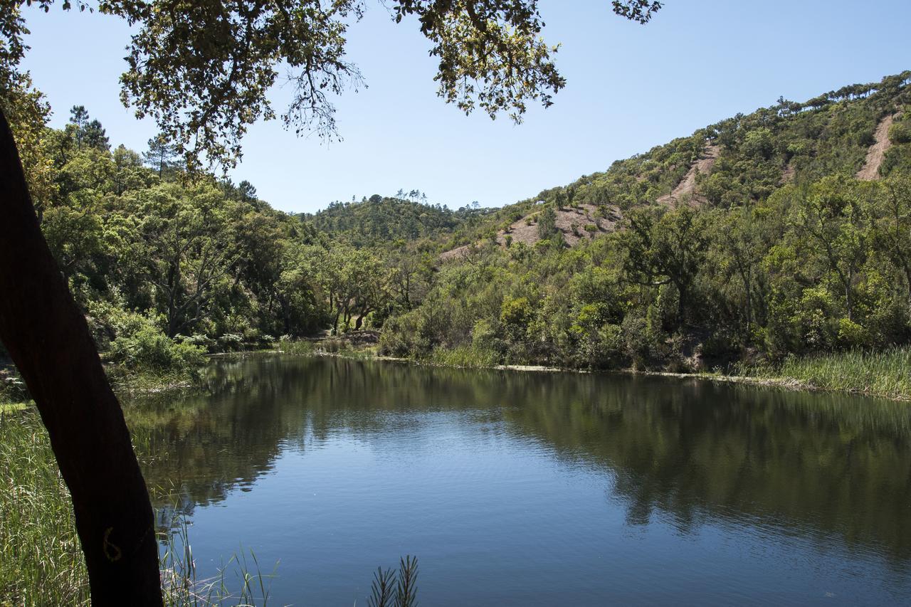 Herdade Das Barradas Da Serra Grândola Eksteriør bilde