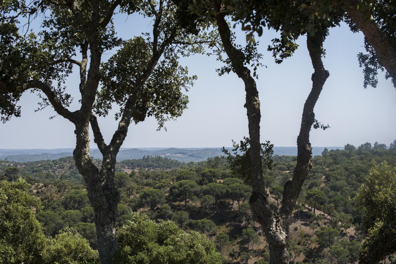 Herdade Das Barradas Da Serra Grândola Eksteriør bilde